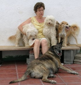 20060626154213-icod-solicita-un-refugio-de-animales-para-la-zona-noroeste-de-la-isla.jpg