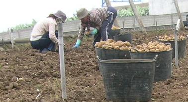 20061024191055-finca-ecologica.jpg