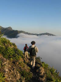 20080417195741-parque-rural-de-teno.jpg